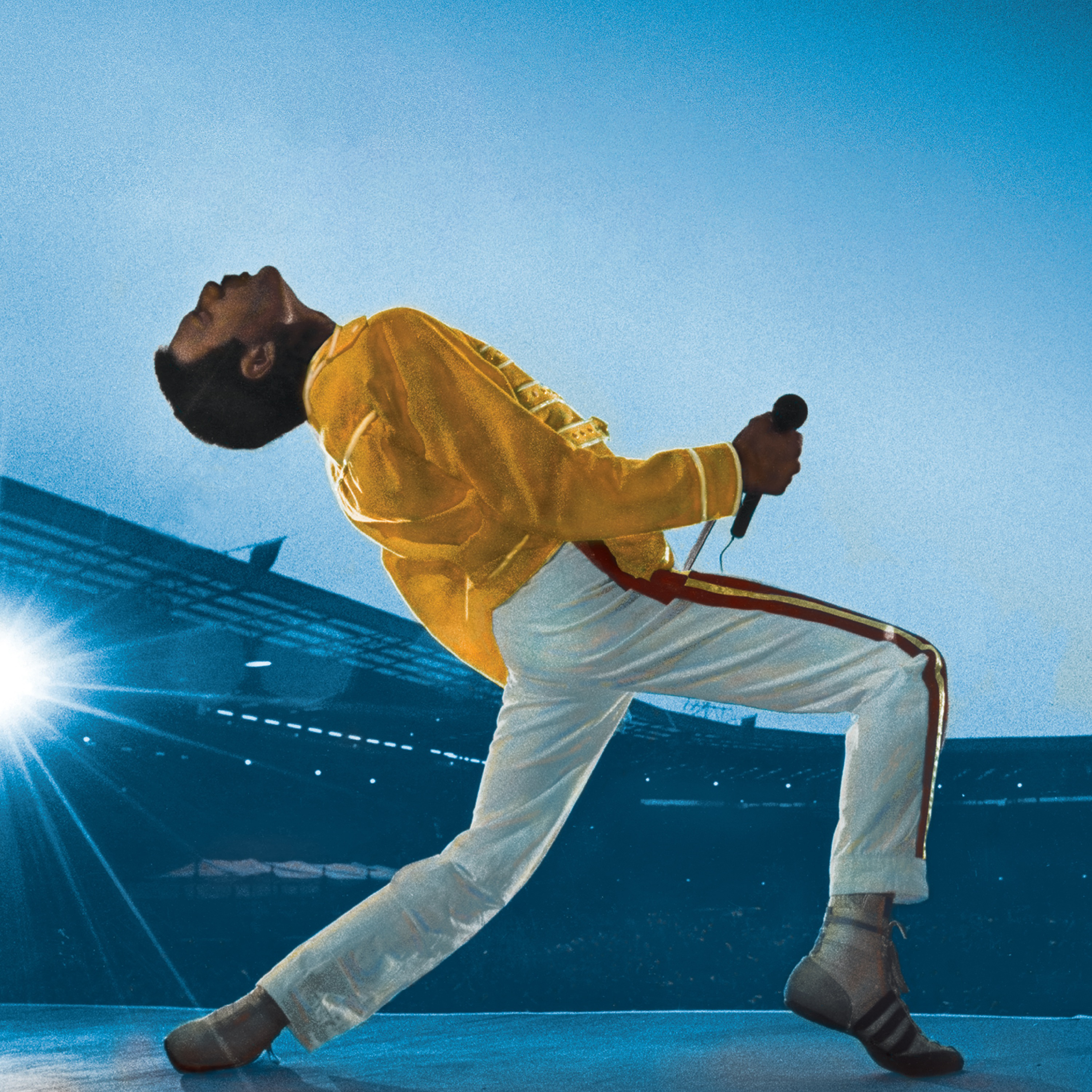 Live at Wembley Stadium